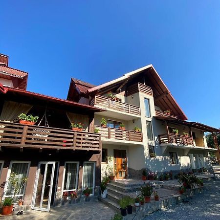 Vila Sorina Borşa Exteriér fotografie