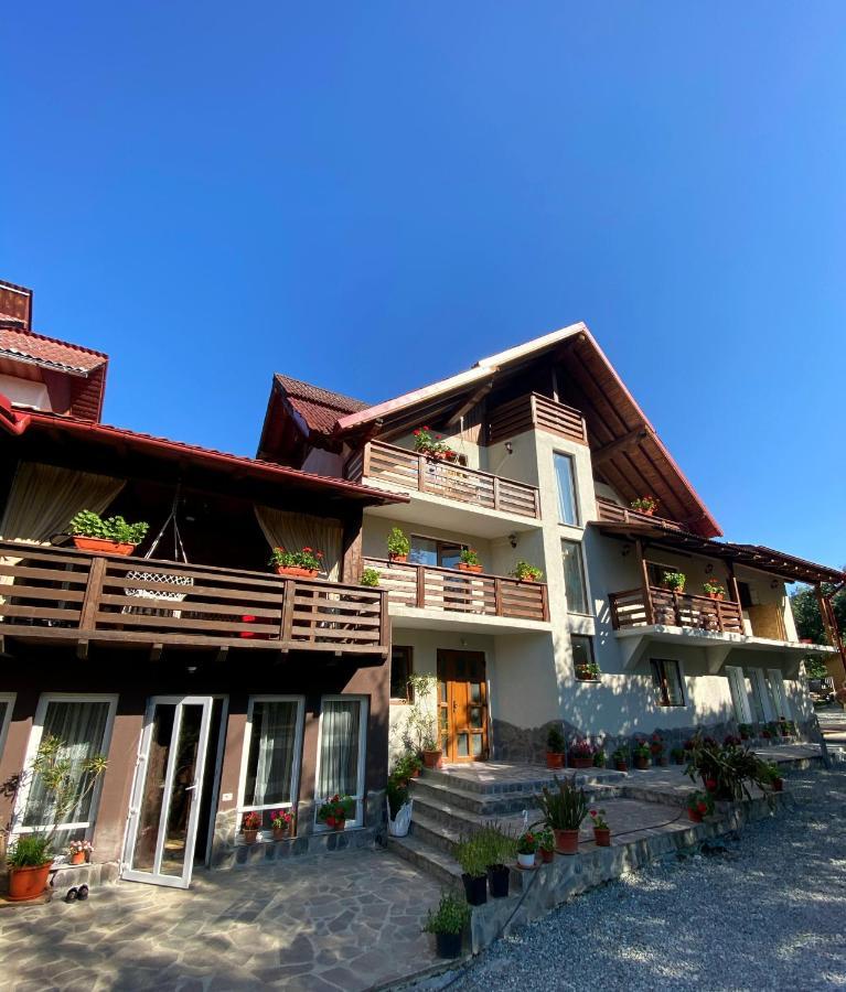 Vila Sorina Borşa Exteriér fotografie