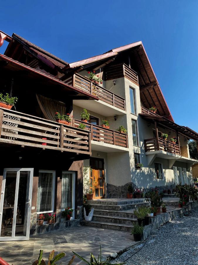 Vila Sorina Borşa Exteriér fotografie