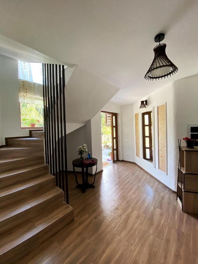 Vila Sorina Borşa Exteriér fotografie