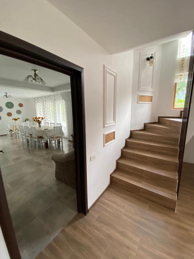 Vila Sorina Borşa Exteriér fotografie