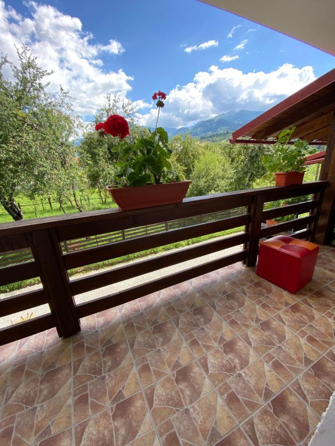 Vila Sorina Borşa Exteriér fotografie