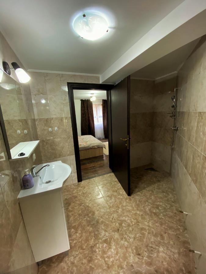 Vila Sorina Borşa Exteriér fotografie