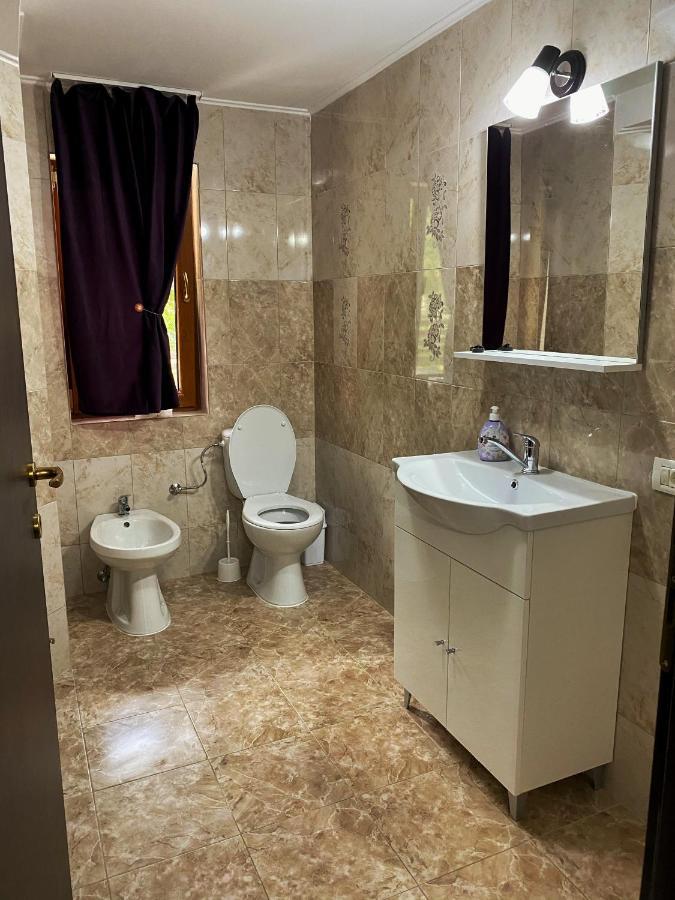Vila Sorina Borşa Exteriér fotografie