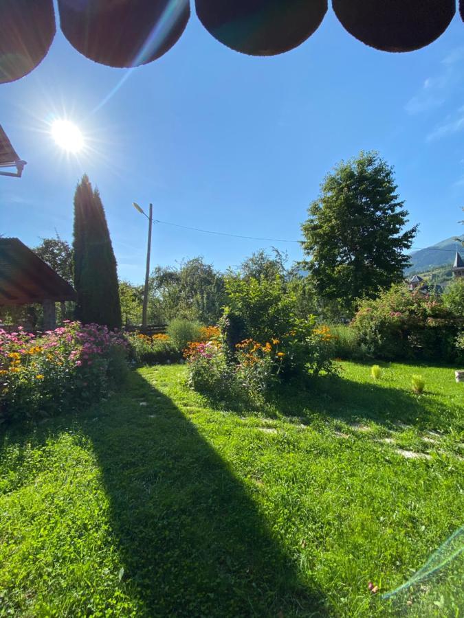 Vila Sorina Borşa Exteriér fotografie