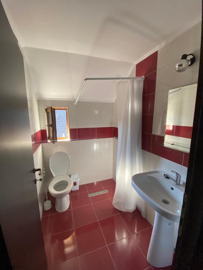 Vila Sorina Borşa Exteriér fotografie