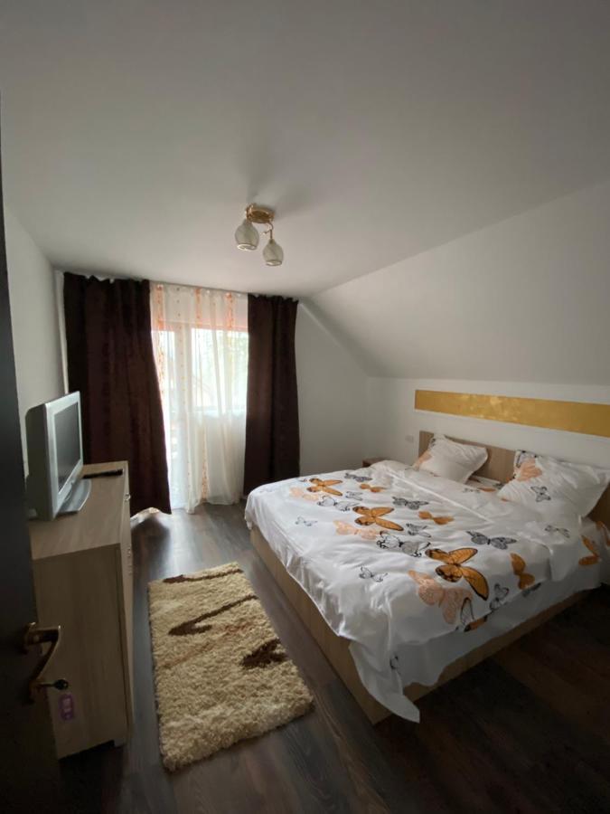 Vila Sorina Borşa Exteriér fotografie