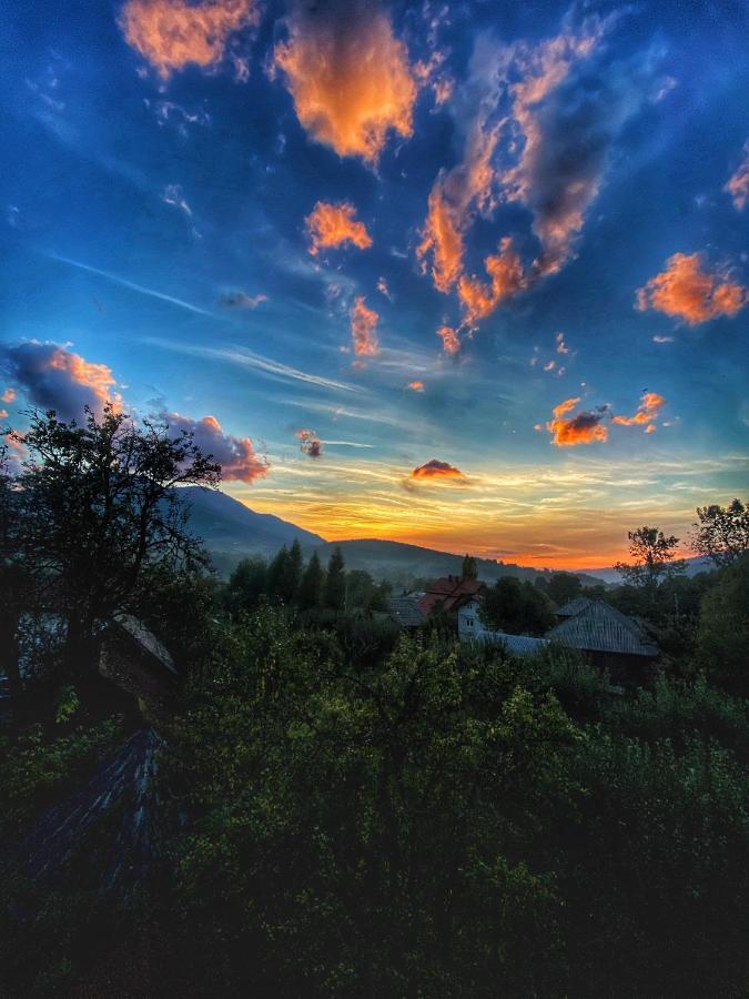 Vila Sorina Borşa Exteriér fotografie