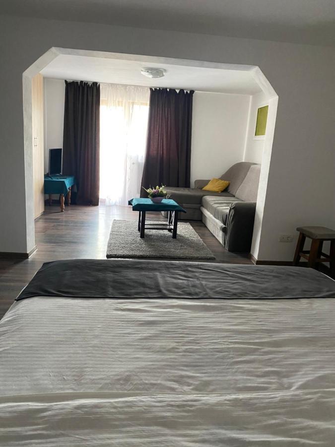 Vila Sorina Borşa Exteriér fotografie