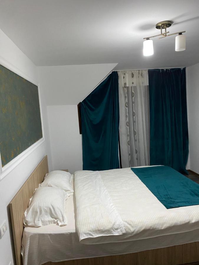 Vila Sorina Borşa Exteriér fotografie