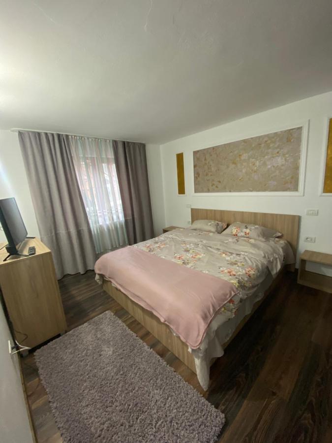 Vila Sorina Borşa Exteriér fotografie