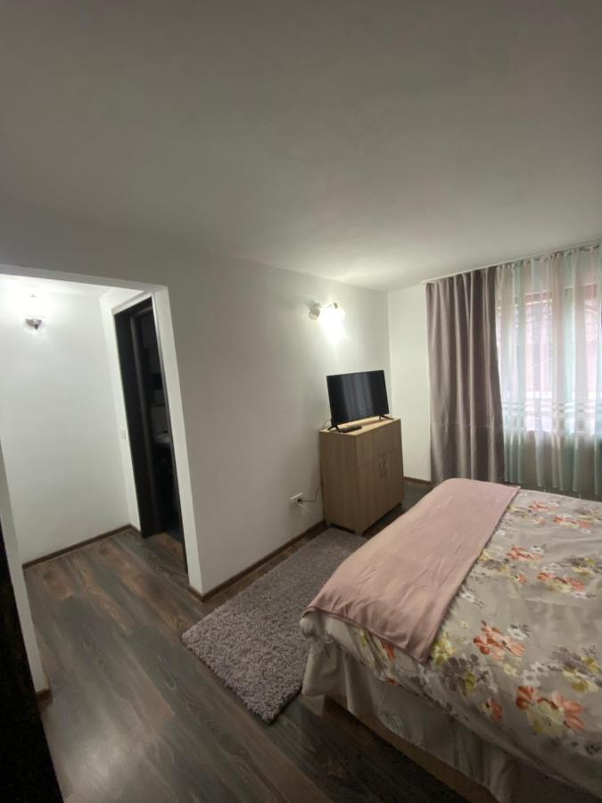 Vila Sorina Borşa Exteriér fotografie