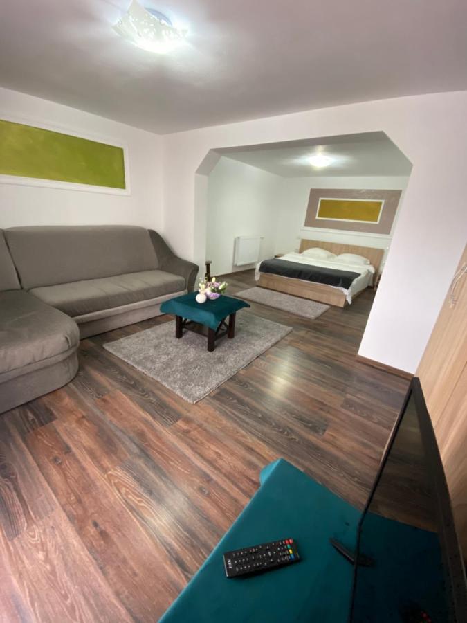 Vila Sorina Borşa Exteriér fotografie