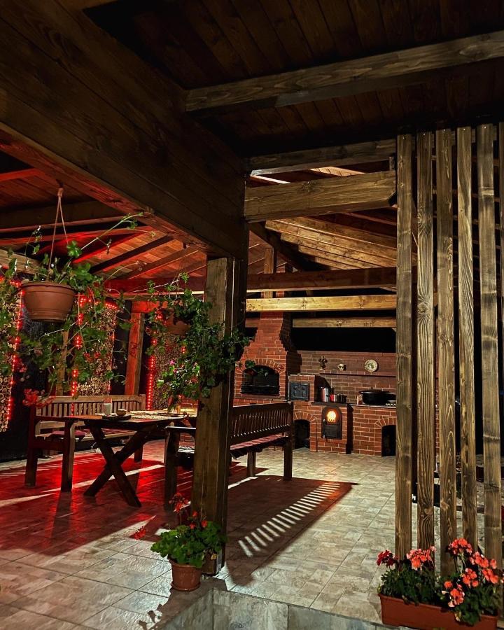 Vila Sorina Borşa Exteriér fotografie