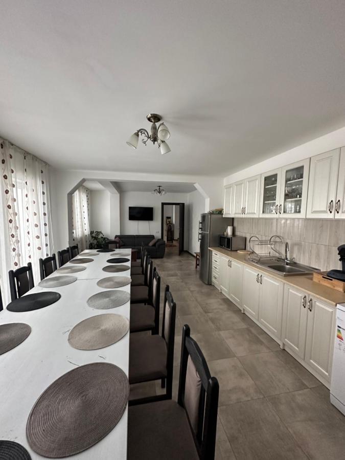 Vila Sorina Borşa Exteriér fotografie