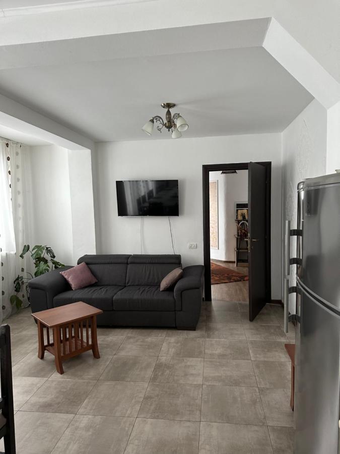 Vila Sorina Borşa Exteriér fotografie