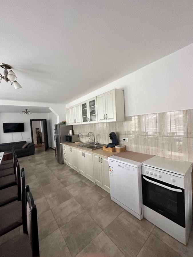 Vila Sorina Borşa Exteriér fotografie